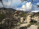 photo thumbnail #15