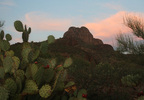 photo thumbnail #2