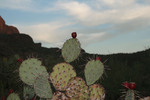 photo thumbnail #7
