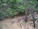 photo thumbnail #4