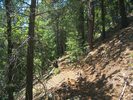 photo thumbnail #5