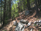photo thumbnail #6