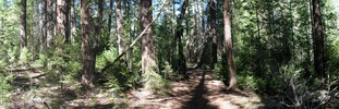 photo thumbnail #1