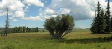 photo thumbnail #4