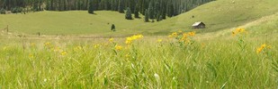 photo thumbnail #7