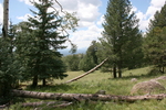 photo thumbnail #1