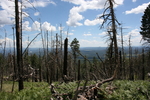 photo thumbnail #8