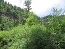 photo thumbnail #7