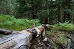 photo thumbnail #2