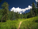 photo thumbnail #2