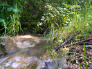photo thumbnail #9