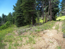 photo thumbnail #14
