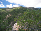 2007-08-11 :2: Moonshine Creek :: PrestonSands