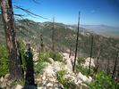 photo thumbnail #5