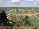 photo thumbnail #10