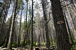 photo thumbnail #13