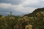 photo thumbnail #1