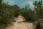 photo thumbnail #3