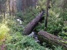 photo thumbnail #4