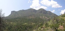 photo thumbnail #7