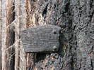 photo thumbnail #11