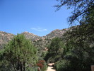 photo thumbnail #1