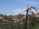 photo thumbnail #3