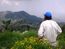 photo thumbnail #8
