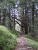 photo thumbnail #11