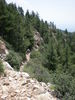 photo thumbnail #13