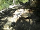 photo thumbnail #11