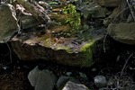 photo thumbnail #14