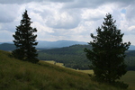 photo thumbnail #11