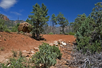 photo thumbnail #7