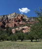 photo thumbnail #3