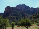 photo thumbnail #4