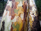 photo thumbnail #10