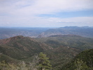 recent photo
