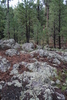 photo thumbnail #7