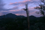 photo thumbnail #3
