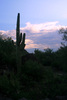 photo thumbnail #8