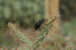photo thumbnail #10