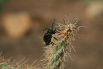photo thumbnail #11