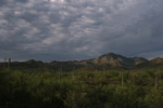 photo thumbnail #12