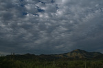 photo thumbnail #14