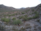 photo thumbnail #2