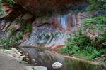 photo thumbnail #6