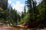 photo thumbnail #14