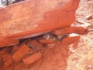 photo thumbnail #11