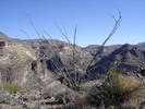 photo thumbnail #9